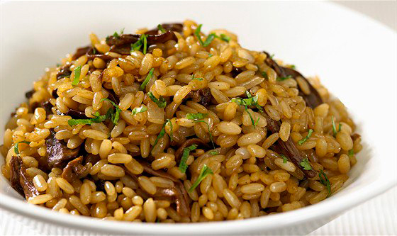 Gribnojplov.jpg
